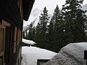 bild (36)